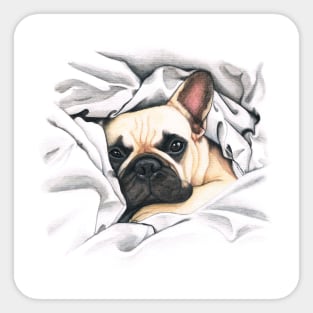 french bulldog - @MiudaFrenchie Sticker